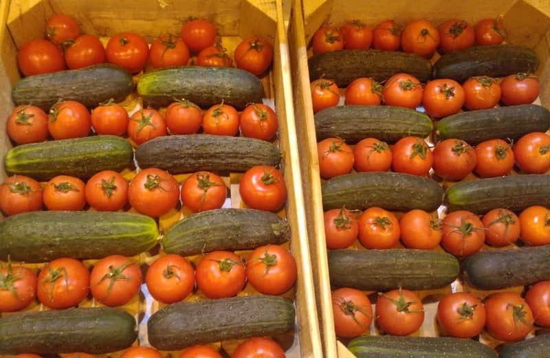 fruit attraction